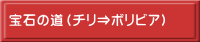 宝石の道（チリ⇒ボリビア）